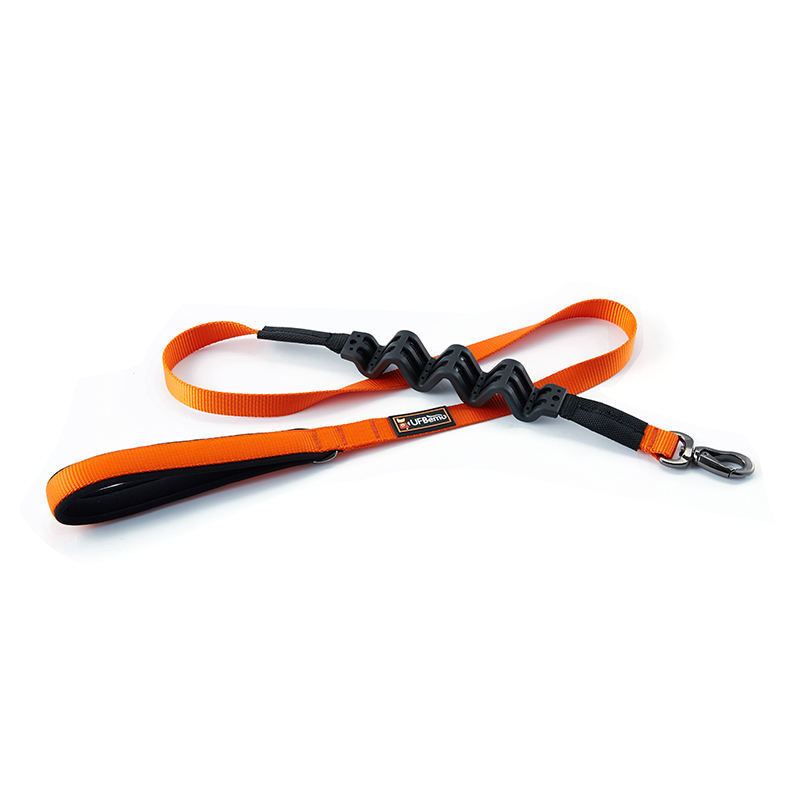 Orange leash