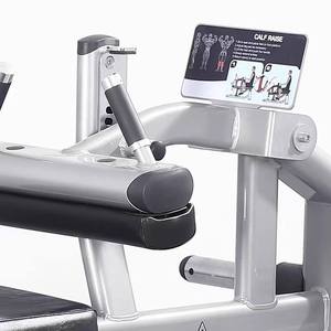 Machine à soulever les mollets assise, faible MOQ, couleur de surface personnalisée, équipement de musculation commercial pour salle de sport - Product Image 5