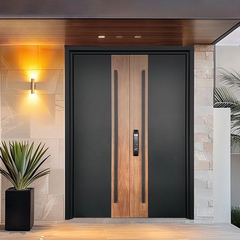 Double door style 017