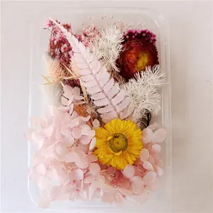 Bunga DIY Dekorasi Kerajinan kotak warna campuran bunga kering bunga alami bunga indah untuk lilin beraroma botol mengambang
