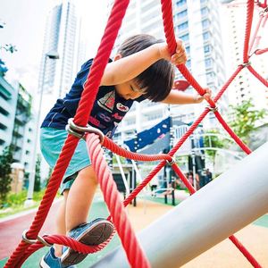 Alta calidad 16mm parque infantil combinación cuerda núcleo de acero al aire libre PP/Pa/Pet Nylon comercial Ninja obstáculo escalada red puente - Product Image 5