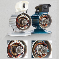 Hot Sales 220V Konstruktion Elektrischer Vibrations motor 1,5 kW Vibrations maschine Einfache Verdichtung Leicht gewicht Langlebig für den Bau