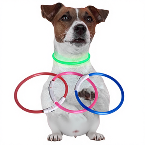 Collier pour chien classique en silicone rechargeable par USB, motif solide, lumineux, LED, fermeture à boucle, plaque personnalisée, promenade nocturne pour animaux de compagnie - Product Image 5