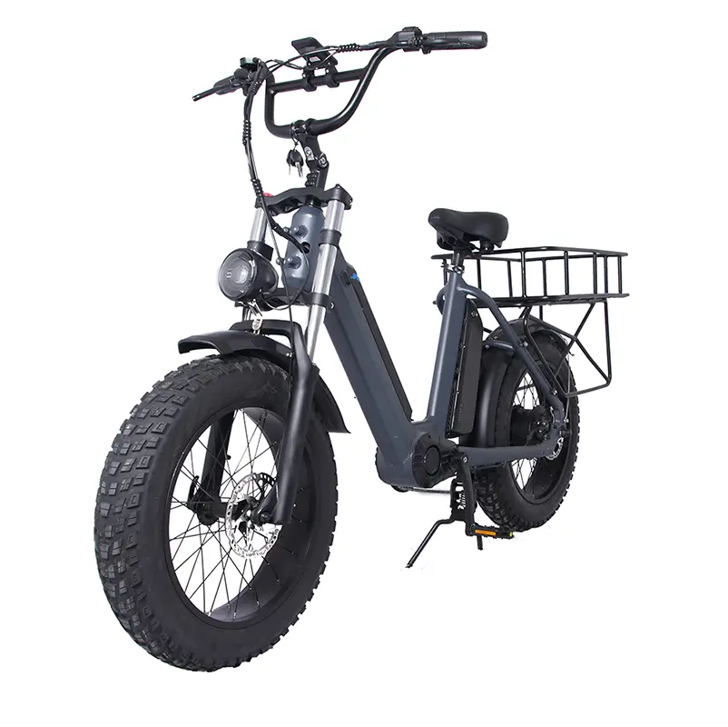 20inch fatbike Xe đạp điện của gia đình hàng hóa Ebike 48V 500W/1000W Pin Lithium Xe máy điện K9 Xe đạp điện