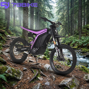 Road Mountain Bike <b>72V</b> 3000W Brushless Motor Magnesium Frame Lithium <b>Battery</b> 410Nm Torque High-Speed - Product Image 4