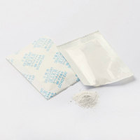 Absorbedor de Humedad en Polvo a Prueba de Fugas, Doble Estructura, Herramienta para Maquinaria y Ferretería, Agente Auxiliar Químico para Envío, Bolsa de Calcio