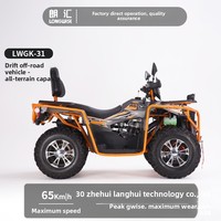 Véhicule tout-terrain sur mesure haute puissance 300cc, 4x4 haute performance, buggy de montagne tout-terrain, buggy de plage