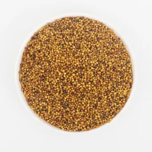 High quality Dehydrated mustard seed