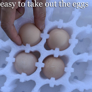 Embalagem EPE Quail <span class=keywords><strong>Foam</strong></span> <span class=keywords><strong>Egg</strong></span> Bandejas Embalagem Transporte Recipiente De Armazenamento Pe Espuma De Isopor Em Forma Para Recipientes De Transporte - Product Image 5