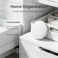 Traceur intelligent portable anti-perte avec logo personnalisé OEM pour clés, sacs, bagages et gestion des stocks