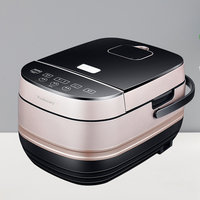 Cuisinière à riz robuste OEM ODM 5l, grande capacité, cuisinière à riz IH avec certificats CE, CB, GS, ROHS, LFGB, REACH, ETL