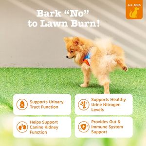 Masticabili Morbidi al Gusto di Manzo e Mirtillo Rosso per Cani - Senza Cereali, Biologici, ad Alto Contenuto Proteico, per la Salute del Tratto Urinario e della Vescica, per Evitare l'Ingestione di Erba - Product Image 4