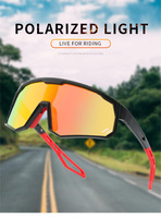 Lunettes de soleil de sport polarisées UV400 photochromiques pour hommes et femmes 2024 pour VTT, vélo de route, ski et pêche