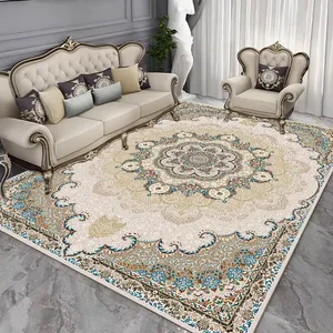 Soft Area Carpet Washable Carpet Non-slip Carpet Traditional Non-slip Accent Interior Floor Bathroom Bedside Decorative Rug