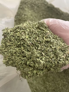 OEM Venta caliente Suplementos a base de hierbas Mentha Spicata Polvo Hojas de menta verde Cápsulas Softgel y píldoras para adultos - Product Image 2