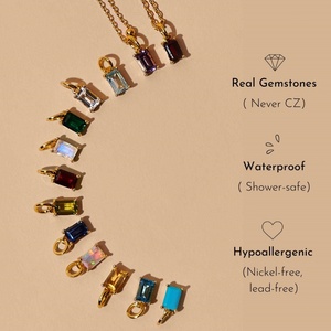 Collar Hipoalergénico DIY de Acero Inoxidable con Colgante de Zirconia y Piedra de Nacimiento del Zodíaco, Chapado en Oro de 18k, Cadena para Clavícula para Mujer - Product Image 3