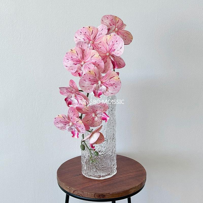 Pink 3D Phalaenopsis