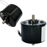 Aangepaste roterende elektromagneet DC24V 2.4A links/rechts 25 graden draaiend voor fruit sortering, rechtsom draaiende solenoïde