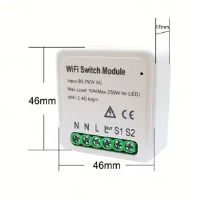 Moes-módulo de Control remoto inteligente con Wifi, módulo de Control de voz de 10A, Alexa y Google, 1 entrada y 2 vías