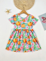 Nouvelle robe de princesse à volants et boutons pour filles de 2 à 6 ans, service ODM pour enfants