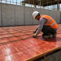 Contreplaqué de construction multi-usages fini et poncé, contreplaqué de construction commercial, systèmes de coffrage en béton, noyau haute densité