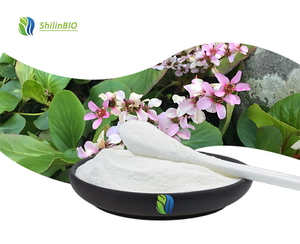 Экстракт пищевого бергения пурпурасена, 98% порошок бергенина, белый травяной экстракт, экстракционный растворитель, сертифицированный, CAS - Product Image 3