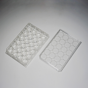 Equipo de laboratorio médico Placa de 24 cultura desechable Placa de laboratorio de <span class=keywords><strong>cultivo</strong></span> <span class=keywords><strong>celular</strong></span> de la placa - Product Image 6