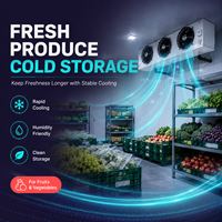 Congelador Comercial Solar Tipo Contenedor con Compresor Copeland/Bristol, Fácil Operación, Acero Inoxidable, para Uso en Comercios y Tiendas