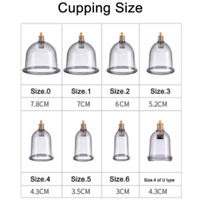 Ventouses de thérapie Hijama en plastique série LW B0-B6 certifiées CE, pour massage sanguin humide anti-arthritique du corps