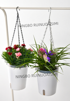 Maceta Colgante de 20 cm (7.9 Pulgadas) con Autorriego, Diseño Nuevo, con Inserto Transparente / Maceta Interior con Ventana Visible para el Nivel del Agua