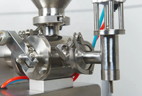 Petites machines de remplissage aseptiques de gel à piston Beurre d'arachide Brillant à lèvres Pâte Lotion Aérosol Remplisseuses de bouteilles liquides