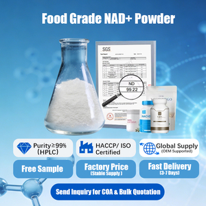 אבקה בדרגת מזון NAD+ ניקוטינמיד אדנין דינוקלאוטיד, טוהר 99%, CAS 53-84-9, מאושרת HACCP - Product Image 2