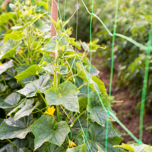 Filet de grimpement pour tomates 8 g/m² / Filet de soutien pour plantes grimpantes / Treillis pour pois - Product Image 5