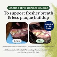 Polvo Limpiador Dental para Perros de Marca Privada, Refrescante del Aliento, Elimina la Placa, para Mascotas, Mal Aliento en Gatos y Perros