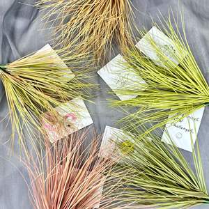 Ventes directes d'usine de tiges d'herbe simples, de roseaux, de matériaux de décoration de mariage, de POTS de fleurs à la maison, de plantes vertes artificielles - Product Image 4