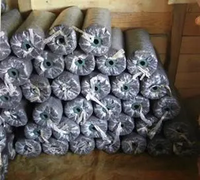Outil d'inoculation de bâton d'inoculation autoclavable réutilisable professionnel pour le transfert de mycélium de ferme de champignons