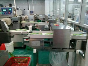 Detector de Metales Automático para la Industria Alimentaria, Modelo ZD - Product Image 2