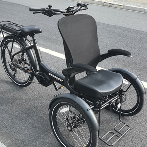 Triciclo <span class=keywords><strong>El</strong></span>éctrico de Última Generación con Marco de Aleación y Carrocería Abierta, Batería de 48V, Frenos Hidráulicos, Motor de 250W, Autonomía de 55-60KM, 1 <span class=keywords><strong>Pasajero</strong></span> - Product Image 2
