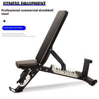 Chaise de fitness professionnelle multifonctionnelle pour usage commercial et domestique, équipement de gym, banc d'haltères, banc de redressements assis, banc de presse à dos en métal