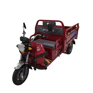 Cheap Electric Enclosed Cabin Family Cargo Used Adult For Sale Motorized Tricycle
