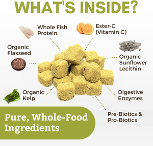 ODM/OEM Marque Privée Vitamine pour Chats Taurine Probiotiques Multivitamines Renforcer l'Immunité, Complément Alimentaire pour Animaux de Compagnie pour la Santé des Animaux - Product Image 4