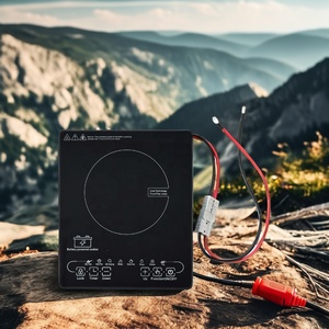 <strong>2024</strong> Hot Sale Solar DC 48V Battery Powered Electric <strong>Induction</strong> <strong>Cooker</strong> - Product Image 6