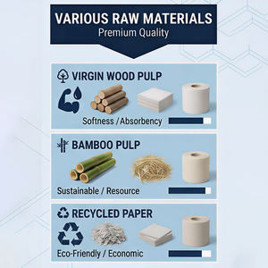 Papel Higiénico Compostable Langqiao de 1 Capa, Económico, Estable y Duradero, Hecho con Pulpa Reciclada, Suave y Absorbente, para Lavandería y Zonas Públicas - Product Image 2