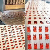 OCEAN Ligne de production automatique de bonbons de santé à petite échelle Confiserie de gelée Machine de fabrication