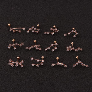 Mode Douze Constellations Acier Daith Boucle D'oreille Piercing Barbell CZ Horoscope Oreille Tragus Daith Piercing Bijoux - Product Image 3