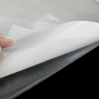 Film adhésif thermofusible TPU à haute élasticité pour broderie, applique et emballage, fabricant chinois