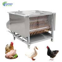 Máquina Desplumadora de Aves de Corral Comercial Shepody, Nuevo Modelo, Equipo para Sacrificio de Pollos, Patos y Gansos con Motor de 220v