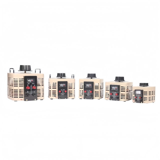 AC Voltage Regulator 5000W Single-phase 220V Autotransformer Voltage Regulator Power Supply Voltage Transformer 300V Adjustable