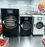 Hoge-efficiëntie roestvrijstalen kleine vriesdroogmachine voor kleine schaal fruit snoep lyofilisatie kleine vriesdroogmachine