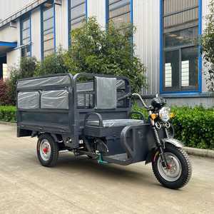 Triciclo Eléctrico <span class=keywords><strong>de</strong></span> Carga <span class=keywords><strong>de</strong></span> 60V 1200W con Plataforma Abierta, Vehículo Utilitario para <span class=keywords><strong>Transporte</strong></span> Familiar - Product Image 1